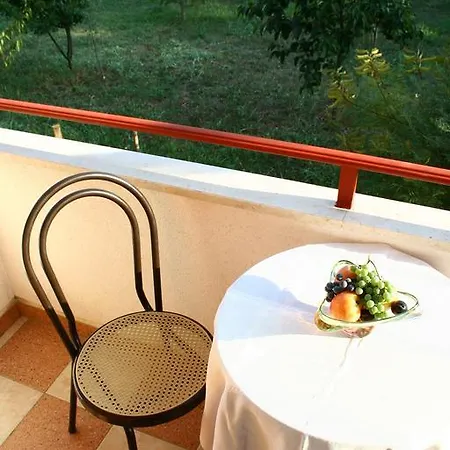 Nonno Apartment Novigrad (Istria)